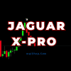 JAGUAR x-PRO Indicator