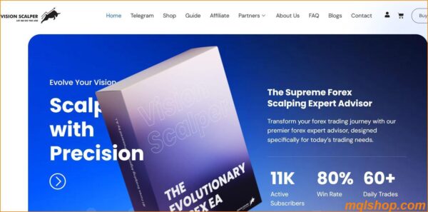 overview of vision scalper ea v9