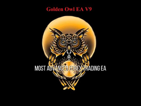 Golden Owl EA