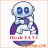 overview of oracle ea