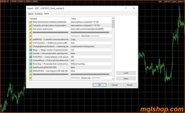 exp copylot client ea settings