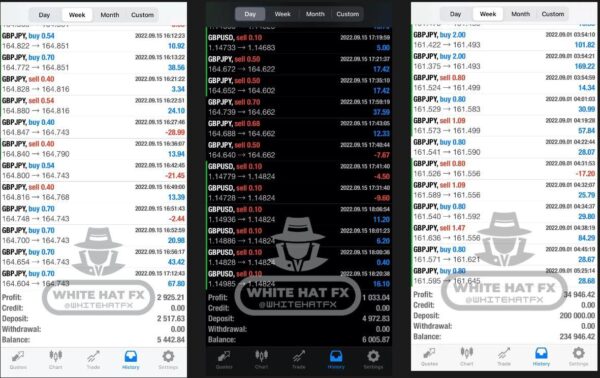 White Hat FX EA MT5 live results