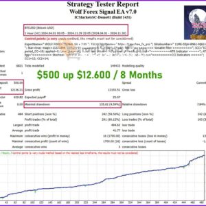 Wolf-Forex-Signal-EA-Backtests