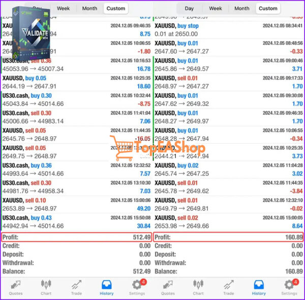 ValiDate-EA-MT4-live-results-2.jpg