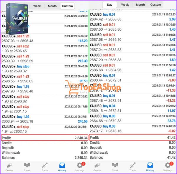 ValiDate-EA-MT4-live-results.jpg